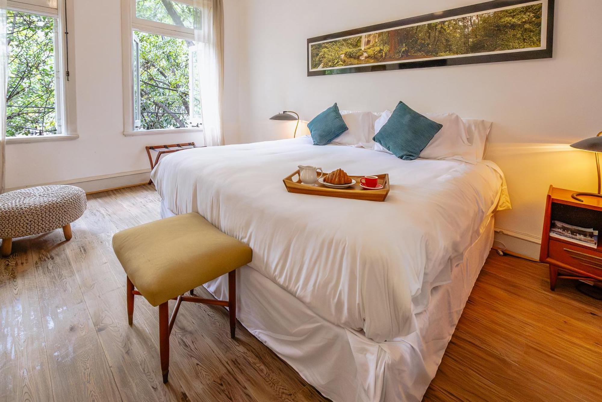 Casa Chapulin-mexican Eclectic In Roma Norte